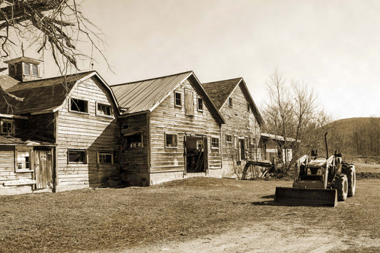 Weathered Homestead