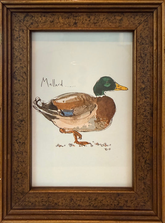 Vintage Mallard Print