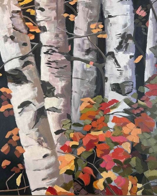 Birch Forest