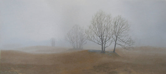 Hayfield in the Mist