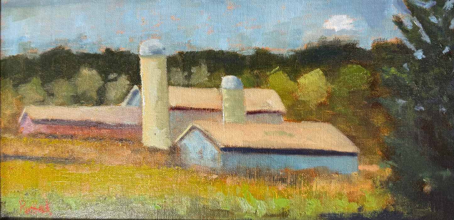 Barns of South Hero