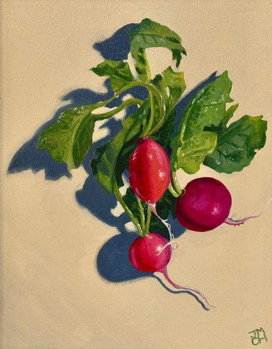 Still Life Collection - Radishes
