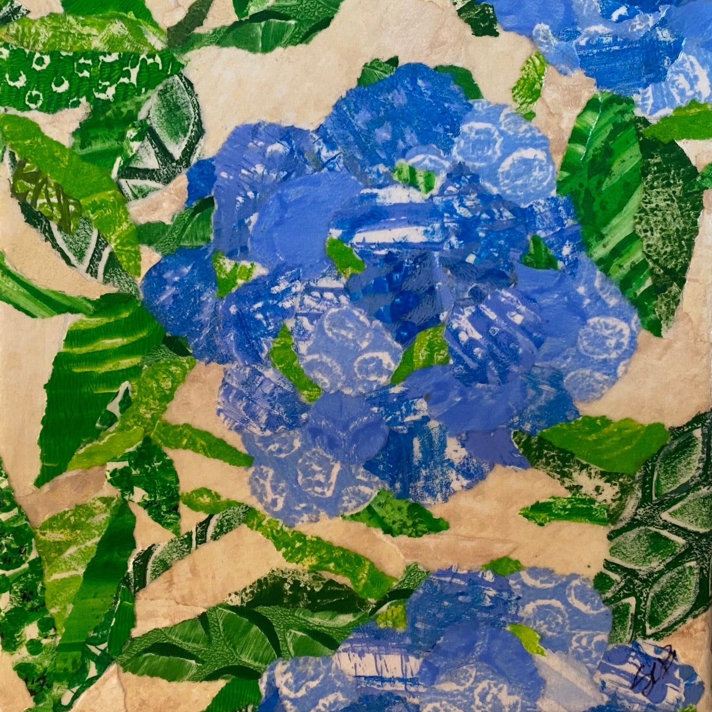 Hydrangea I