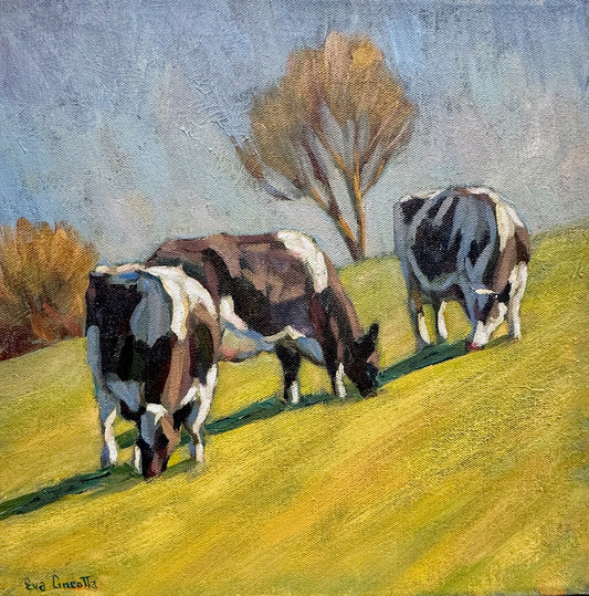 Hillside Cows