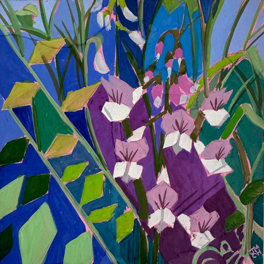 Pacific Pea