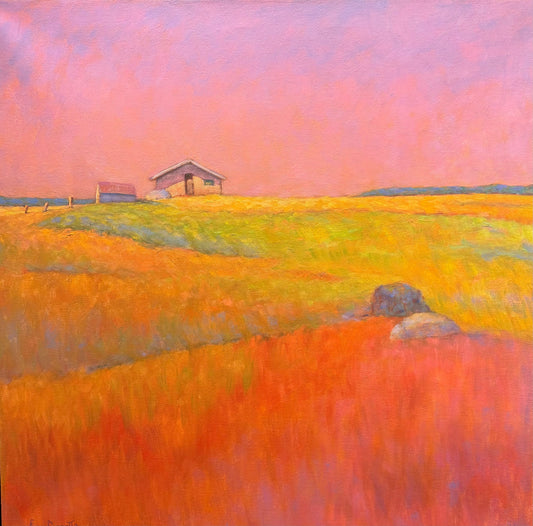 Chicken Coop, Middlebury