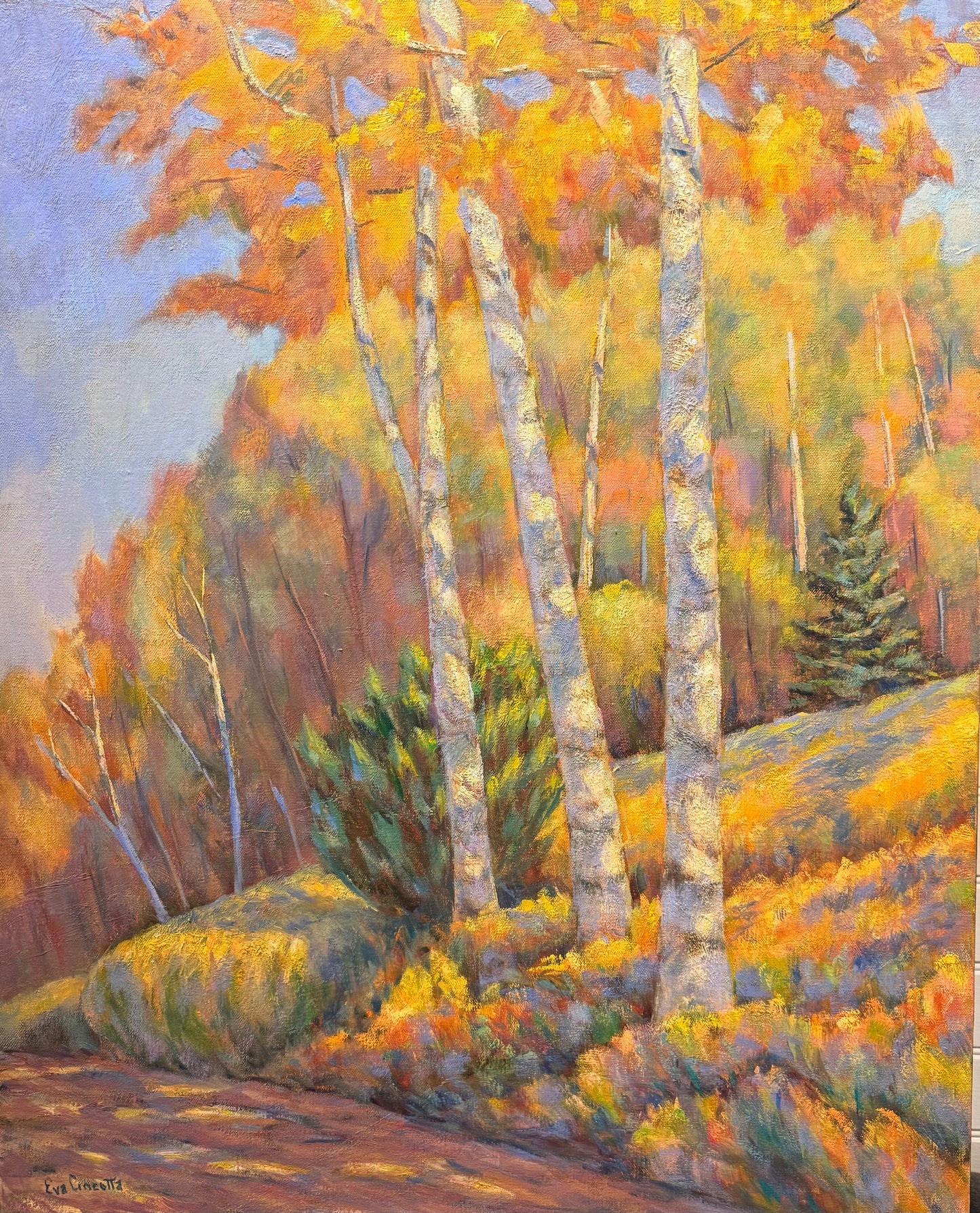 Birches III, Warren