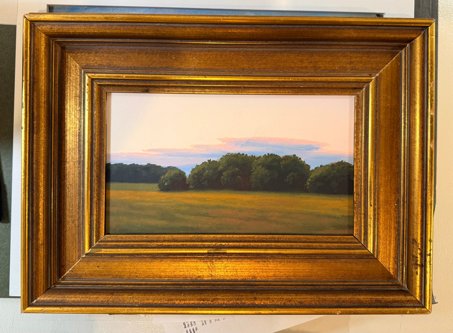 Evening Field