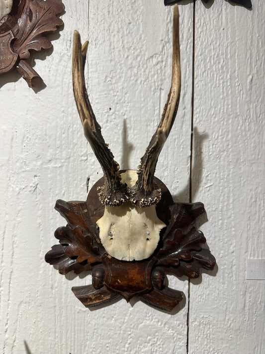 Bavarian Deer Antler Mount