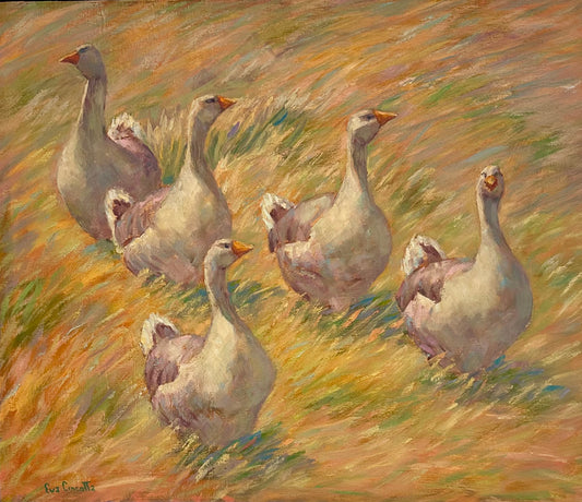 Geese Stroll