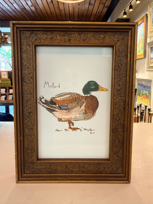 Vintage Mallard Print