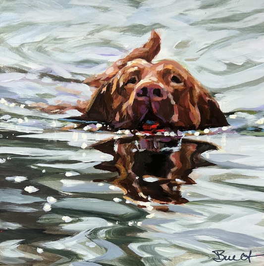 Reflective Swimmer