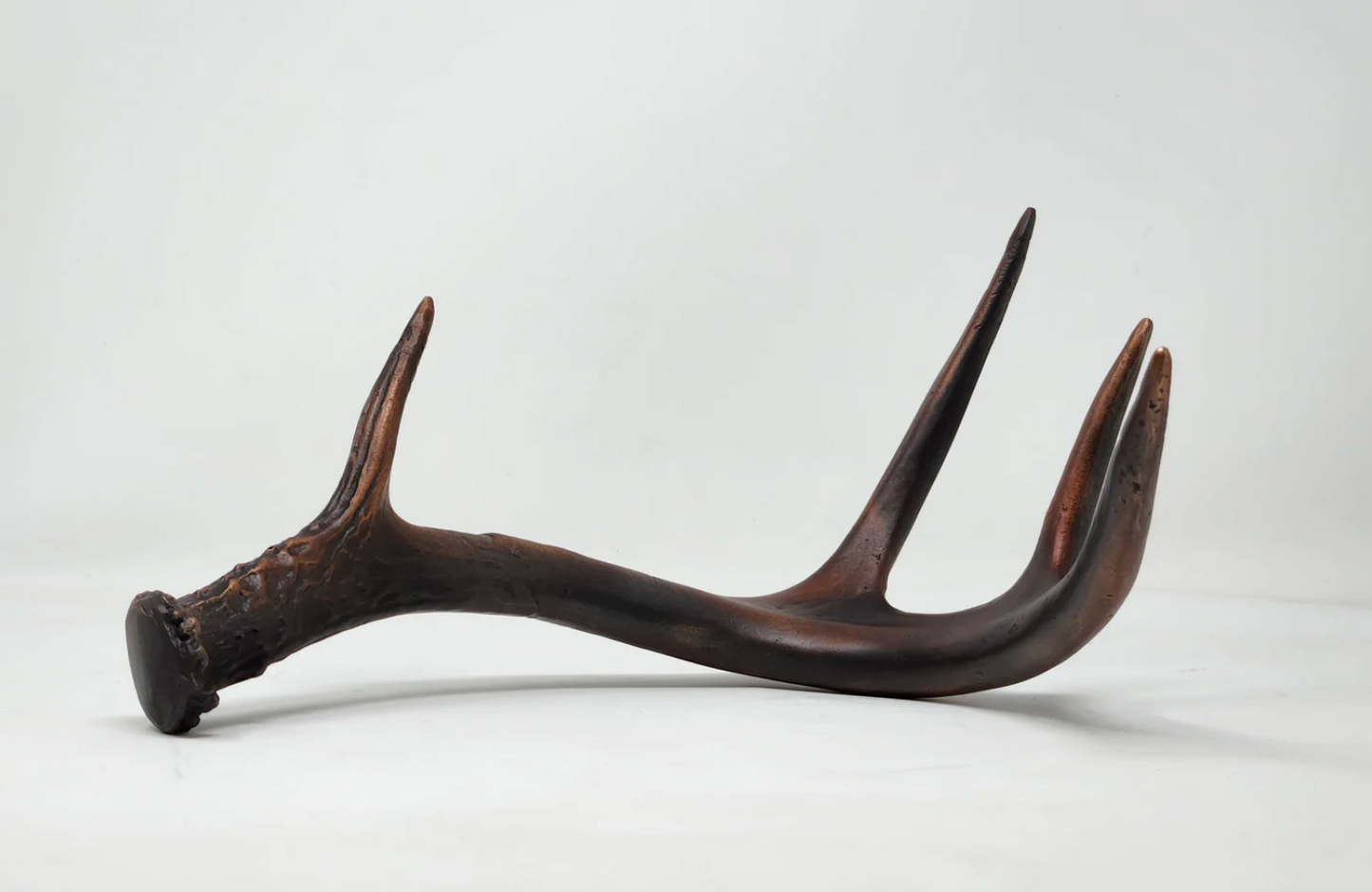 Bronze White-Tailed Deer Antler Sculpture - Basic Finish