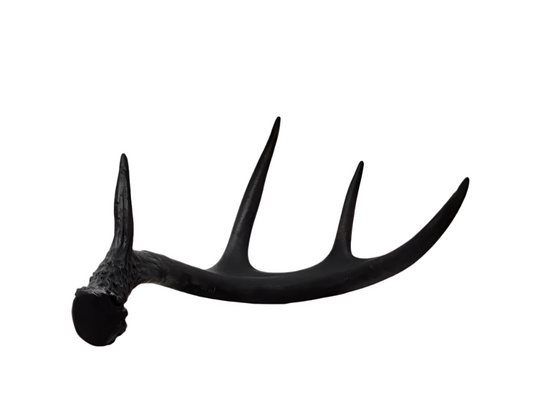 Hand-cast Bronze White-Tailed Deer Antler