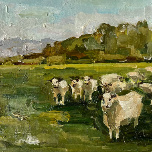 Sheep in Field