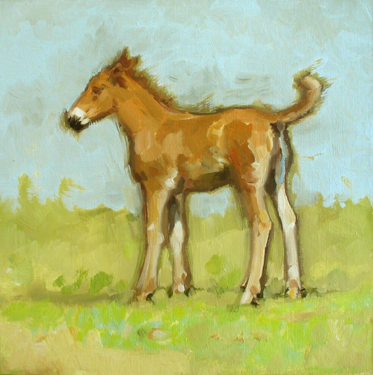 Little Foal