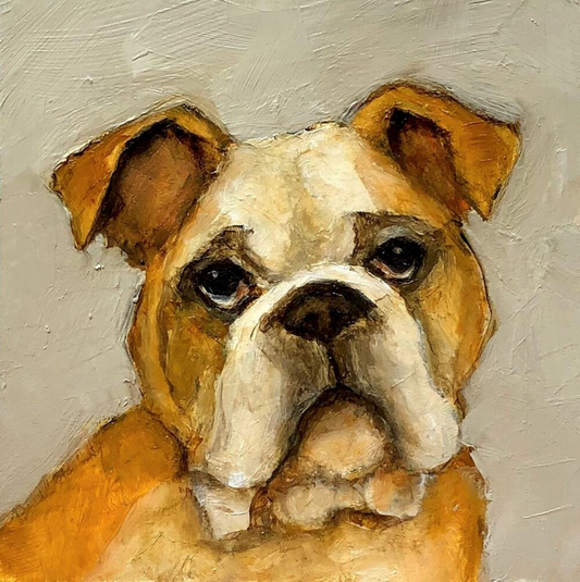 Bulldog