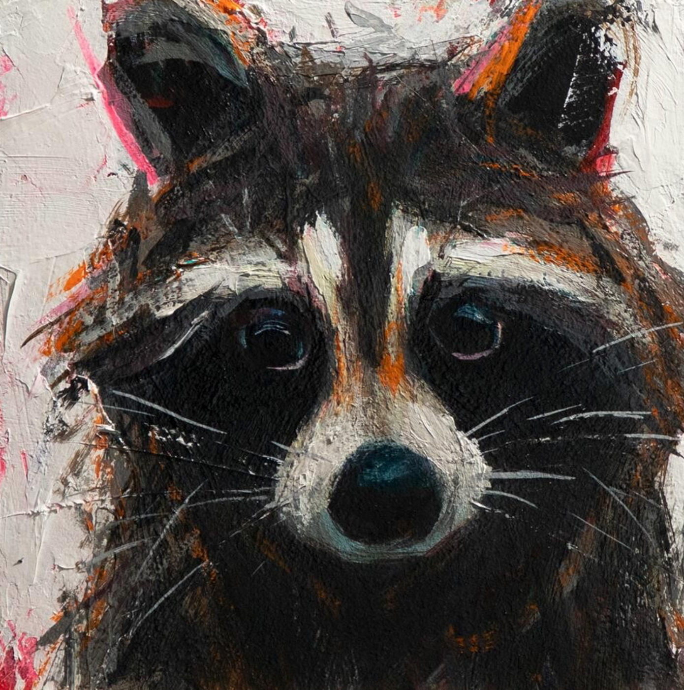 Raccoon