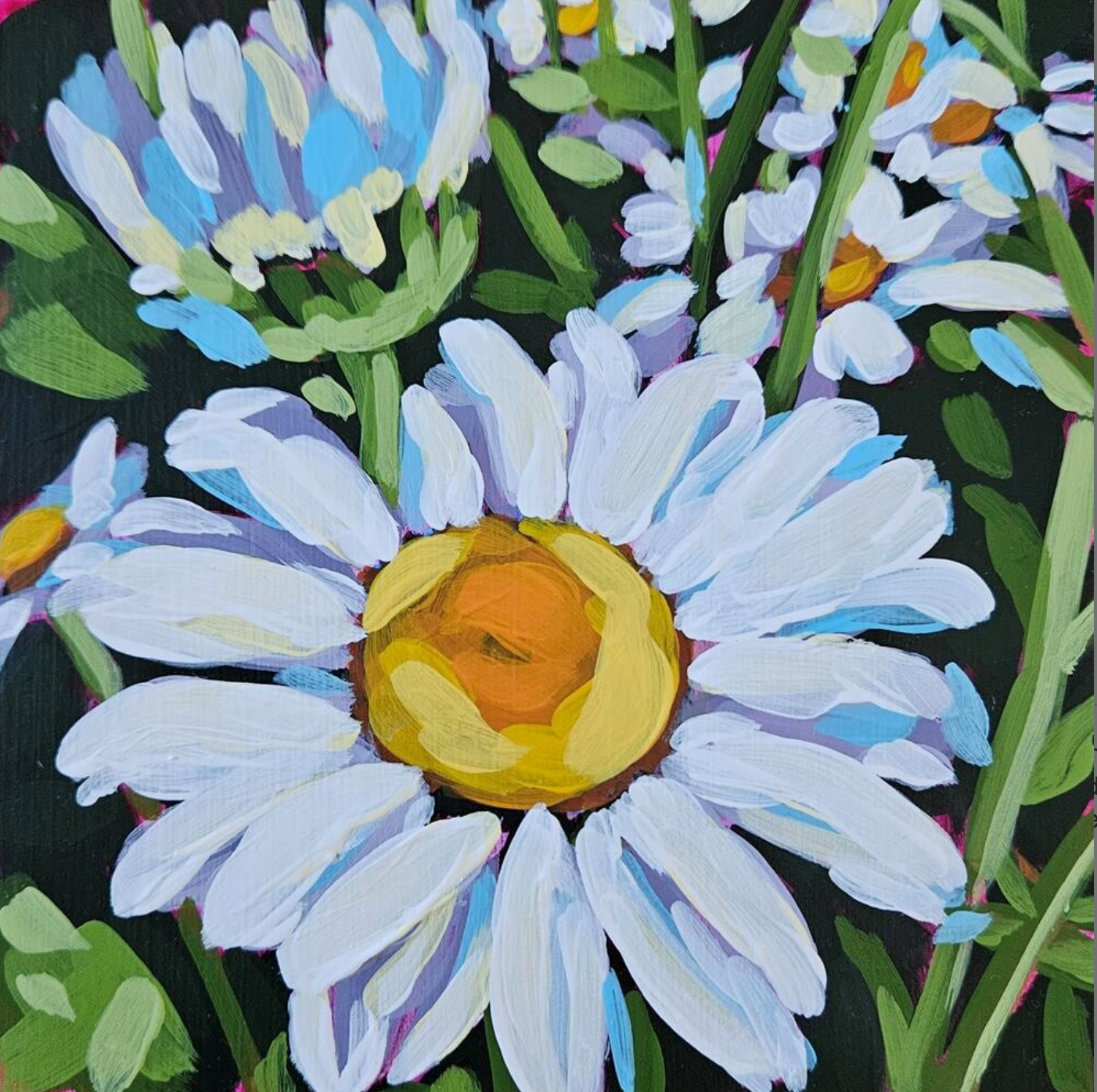 Shasta Daisy Study 2