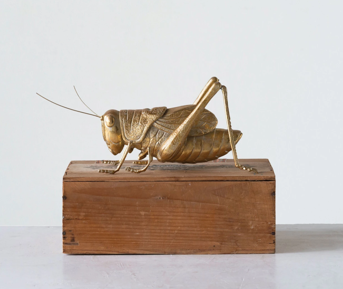 Gold Cricket