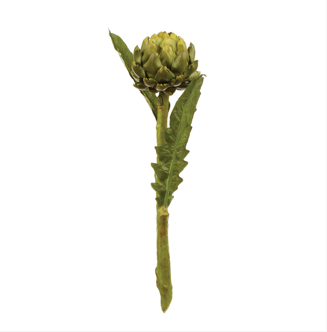 Faux Artichoke Stem