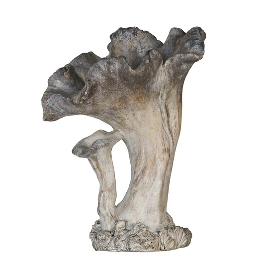 Concrete Mushrooms