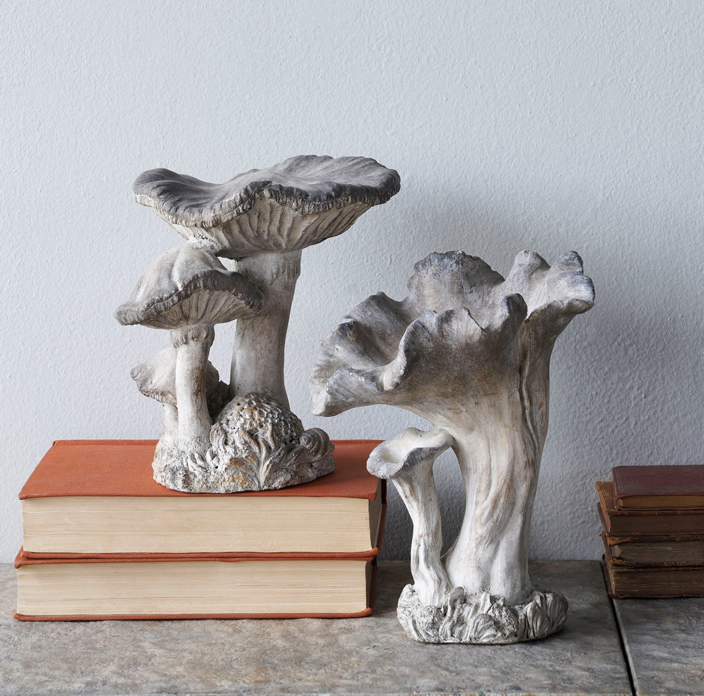 Concrete Mushrooms