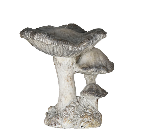 Concrete Mushrooms