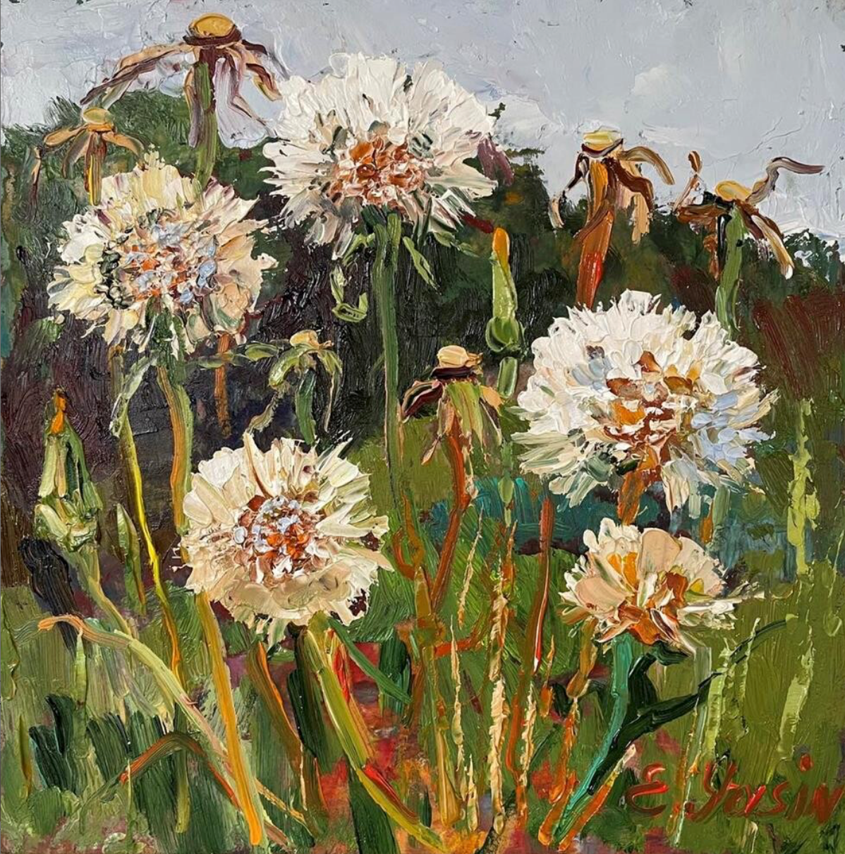 Dandelions Field