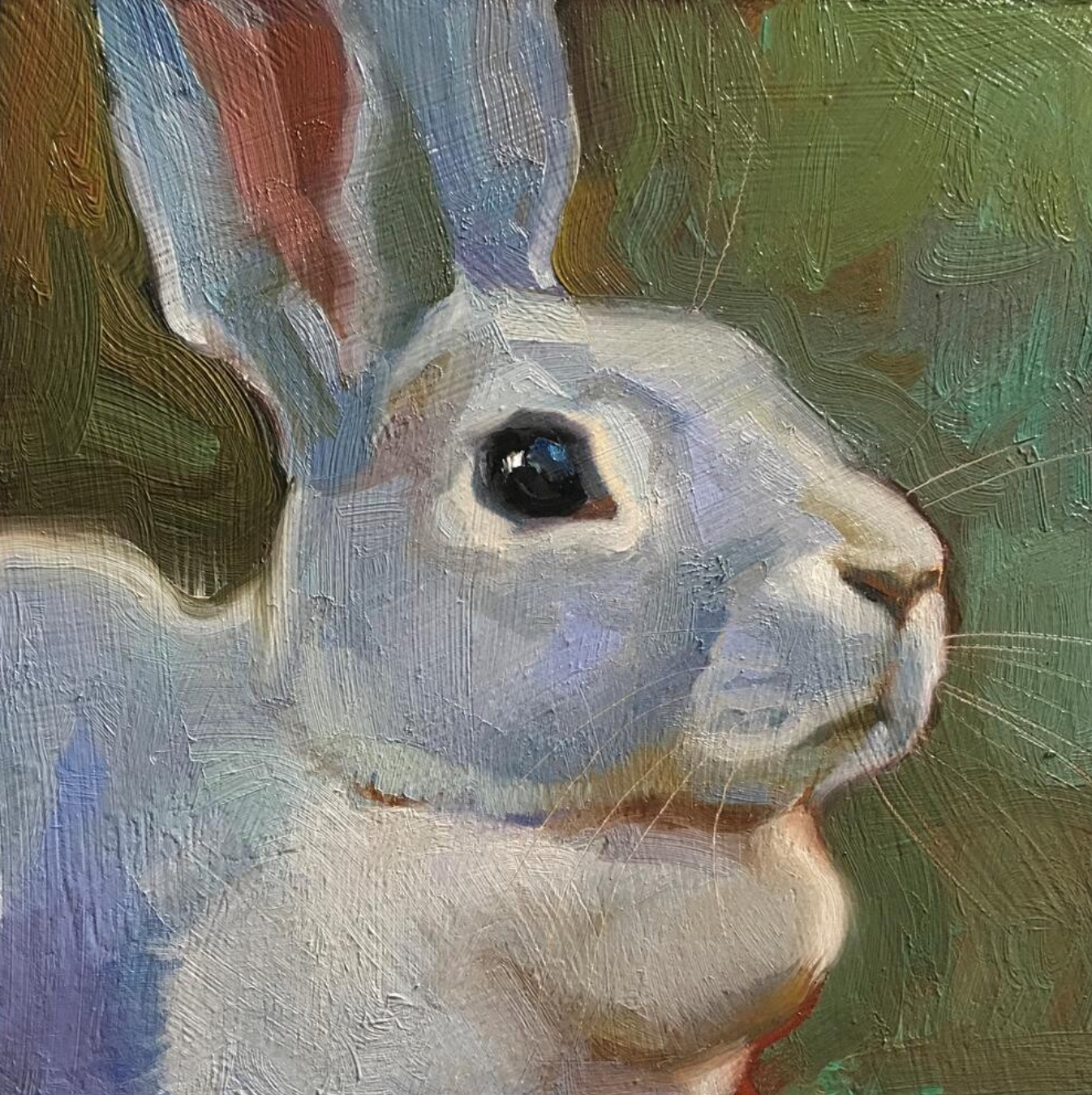 Rabbit – SQUIRREL