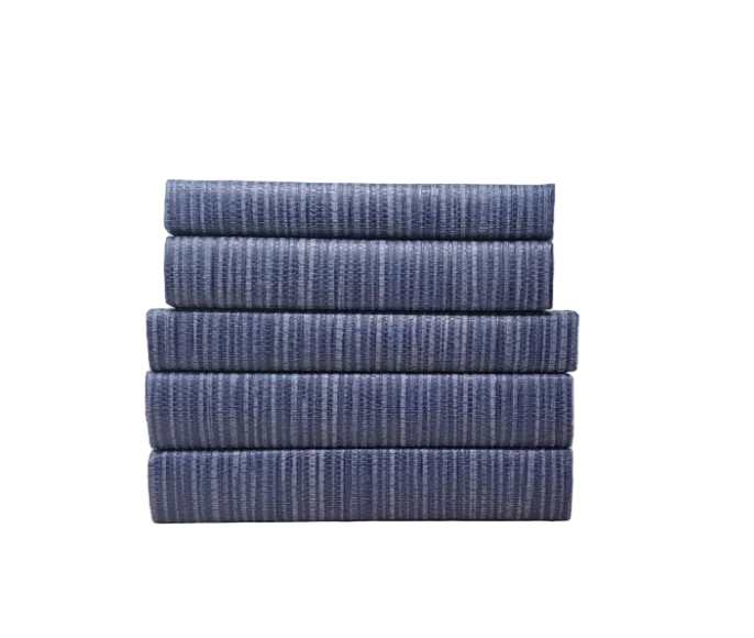Sisal Blue Decorative Books - Set of 3
