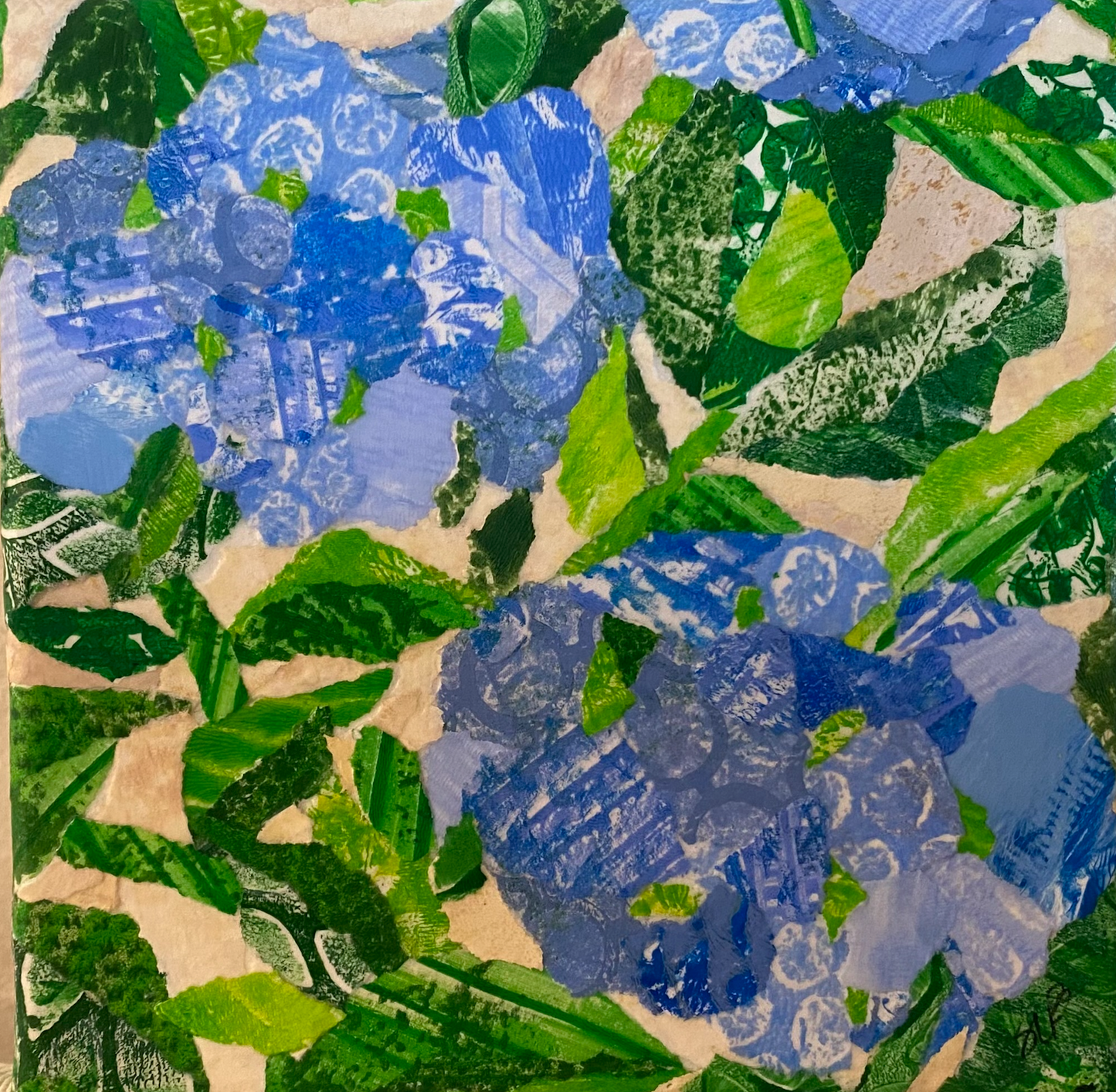 Hydrangea II