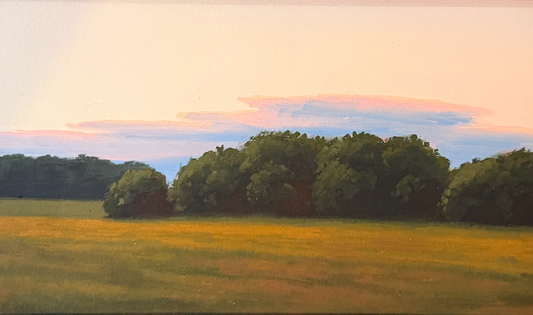 Evening Field