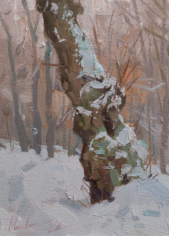 Portrait of an Old Tree