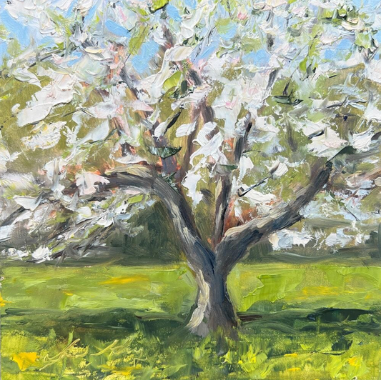 Apple Tree in Spring