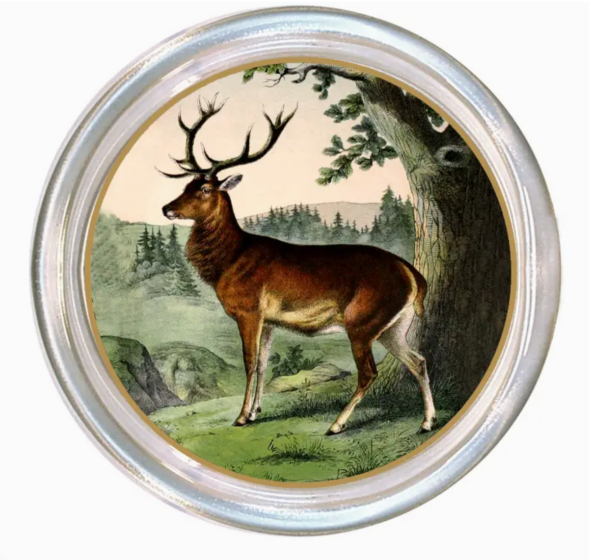 Glass Coasters