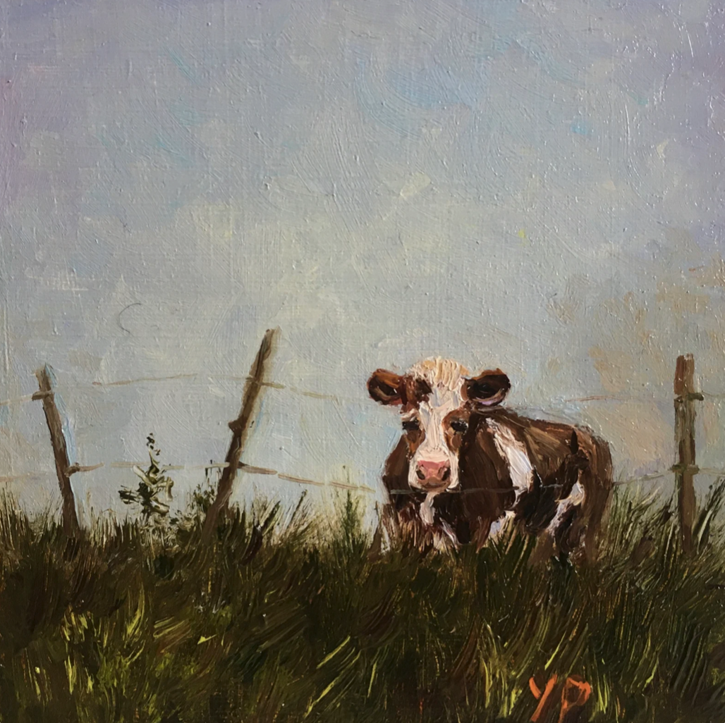 Cow in Field I