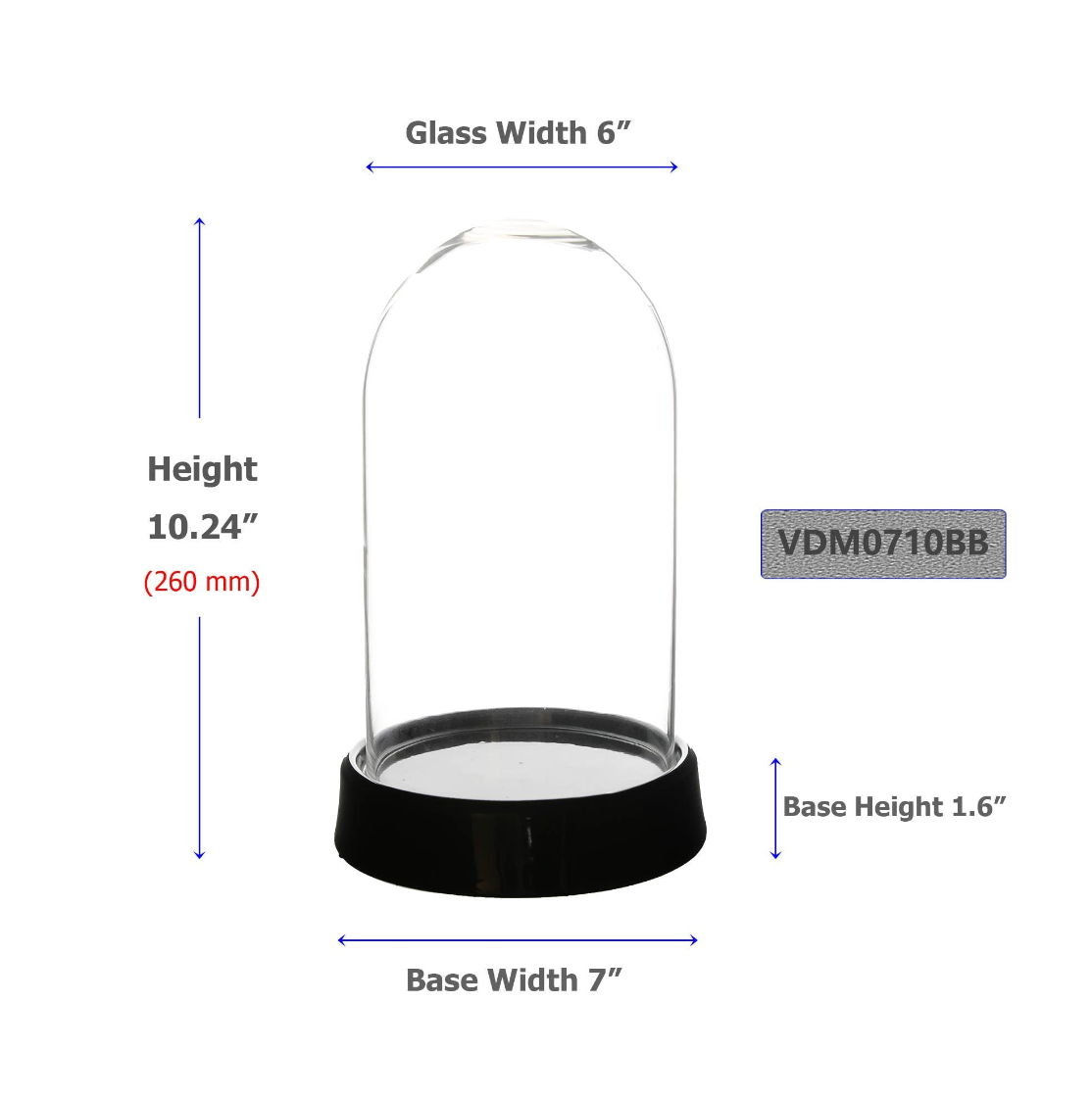 Glass Dome Cloche with Black Wood Base