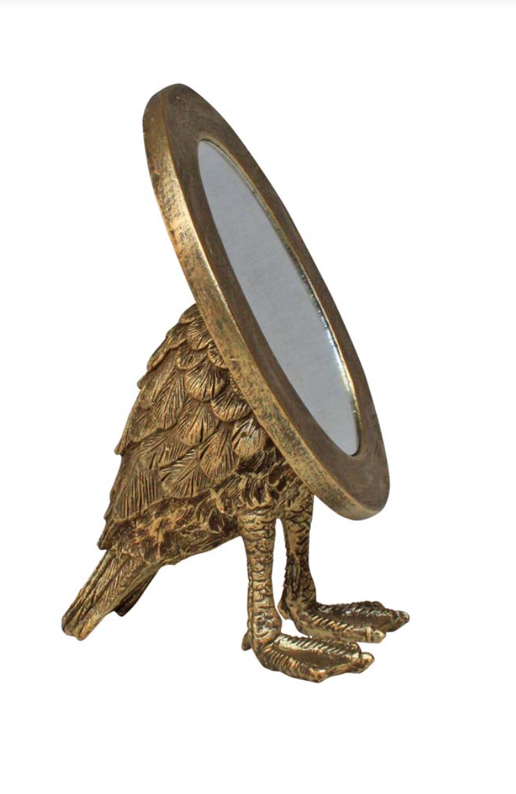 Web Foot Mirror
