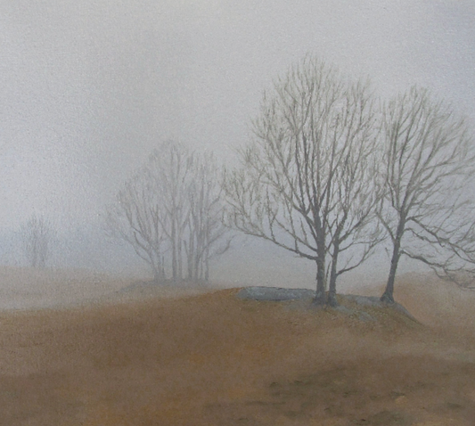 Hayfield in the Mist