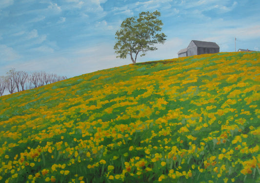Spring Hill