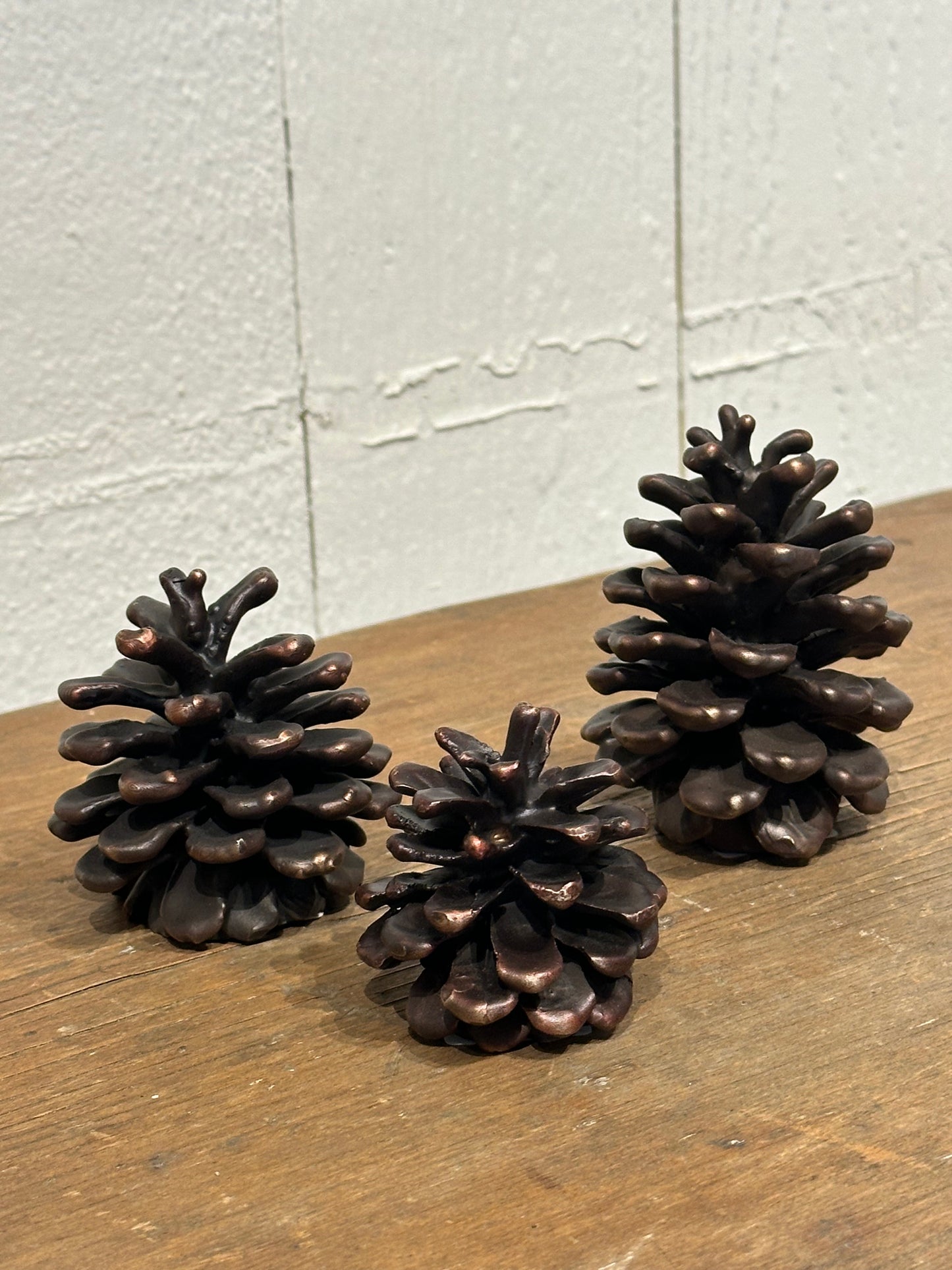 Ponderosa Pinecone - Large