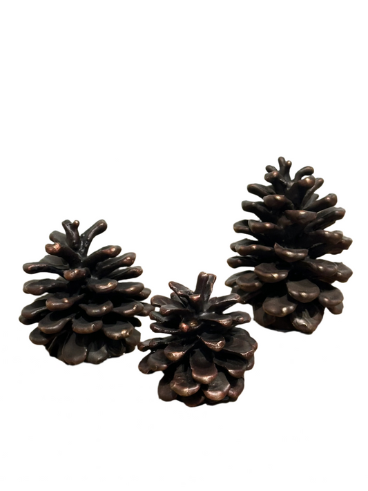 Handcast Bronze Ponderosa Pinecones