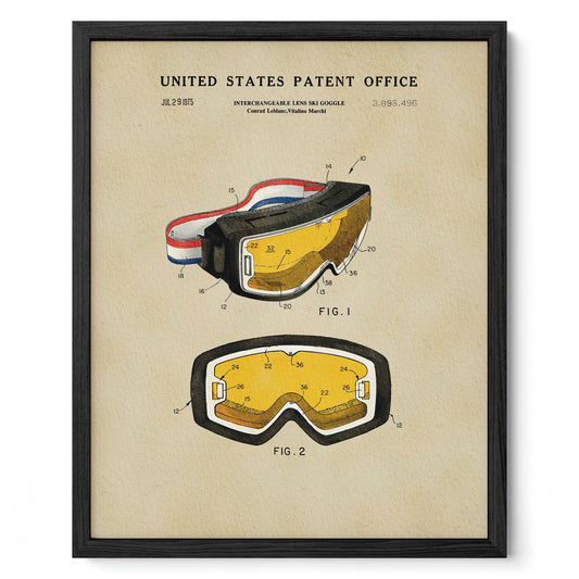 Ski Goggles