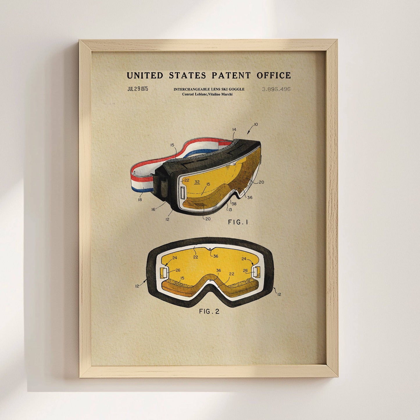 Ski Goggles